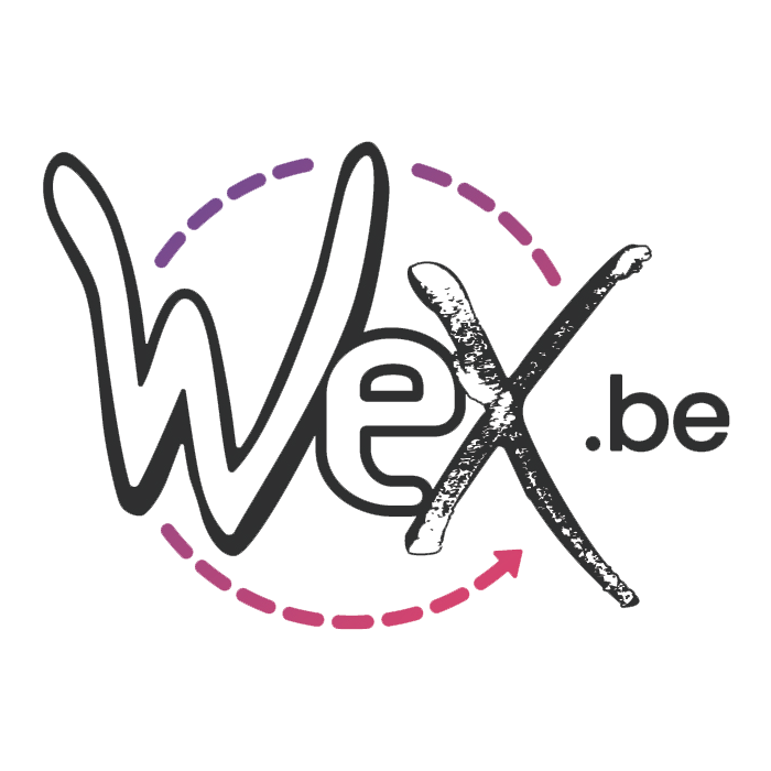 logo de la société WEX