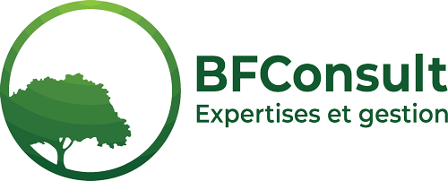 Logo de la société BF Consult